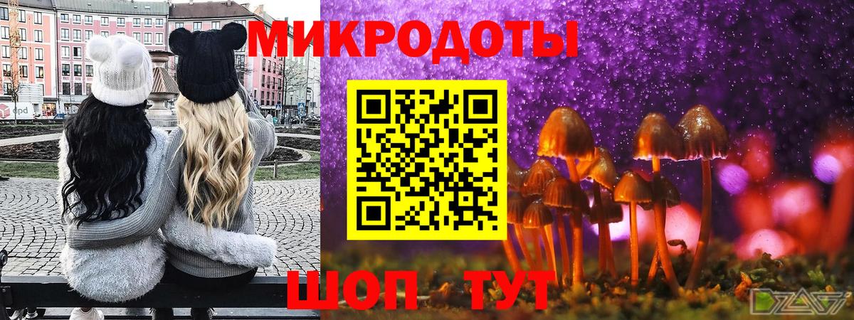 Псилоцибиновые грибы прущие грибы Крымск