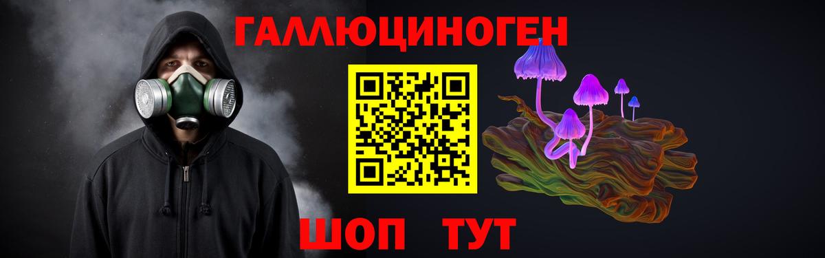 Крымск  Псилоцибиновые грибы мухоморы  Вход с VPN 